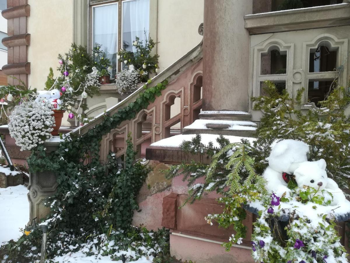 Castelnau Ξενοδοχείο Κολμάρ Εξωτερικό φωτογραφία