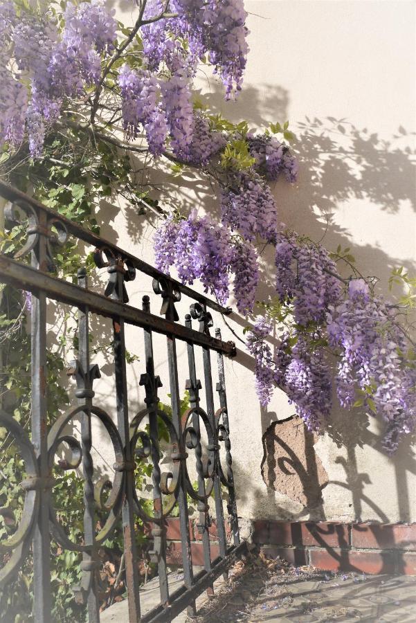 Castelnau Ξενοδοχείο Κολμάρ Εξωτερικό φωτογραφία